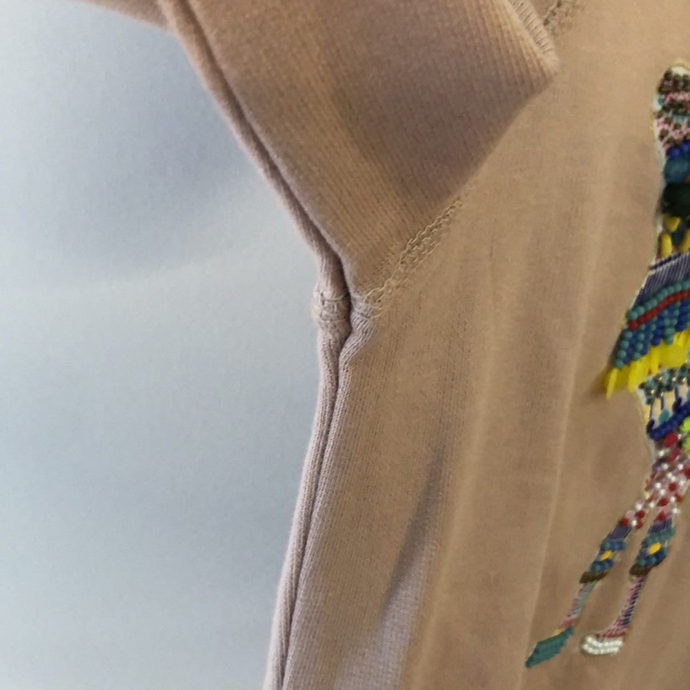 539-J.‎ Crew Camel Embroidered Sweatshirt in Tan - Picture 9 of 13